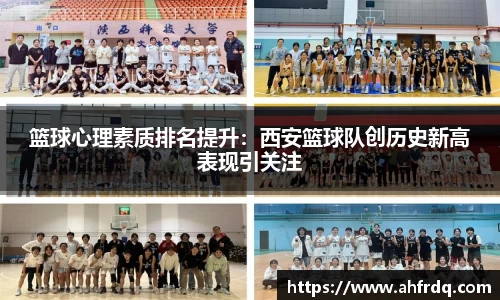 风云体育官方网站