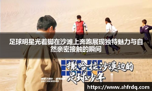 风云体育